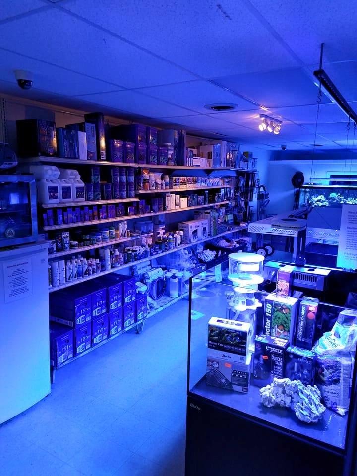 Love The Reef - Photo 3