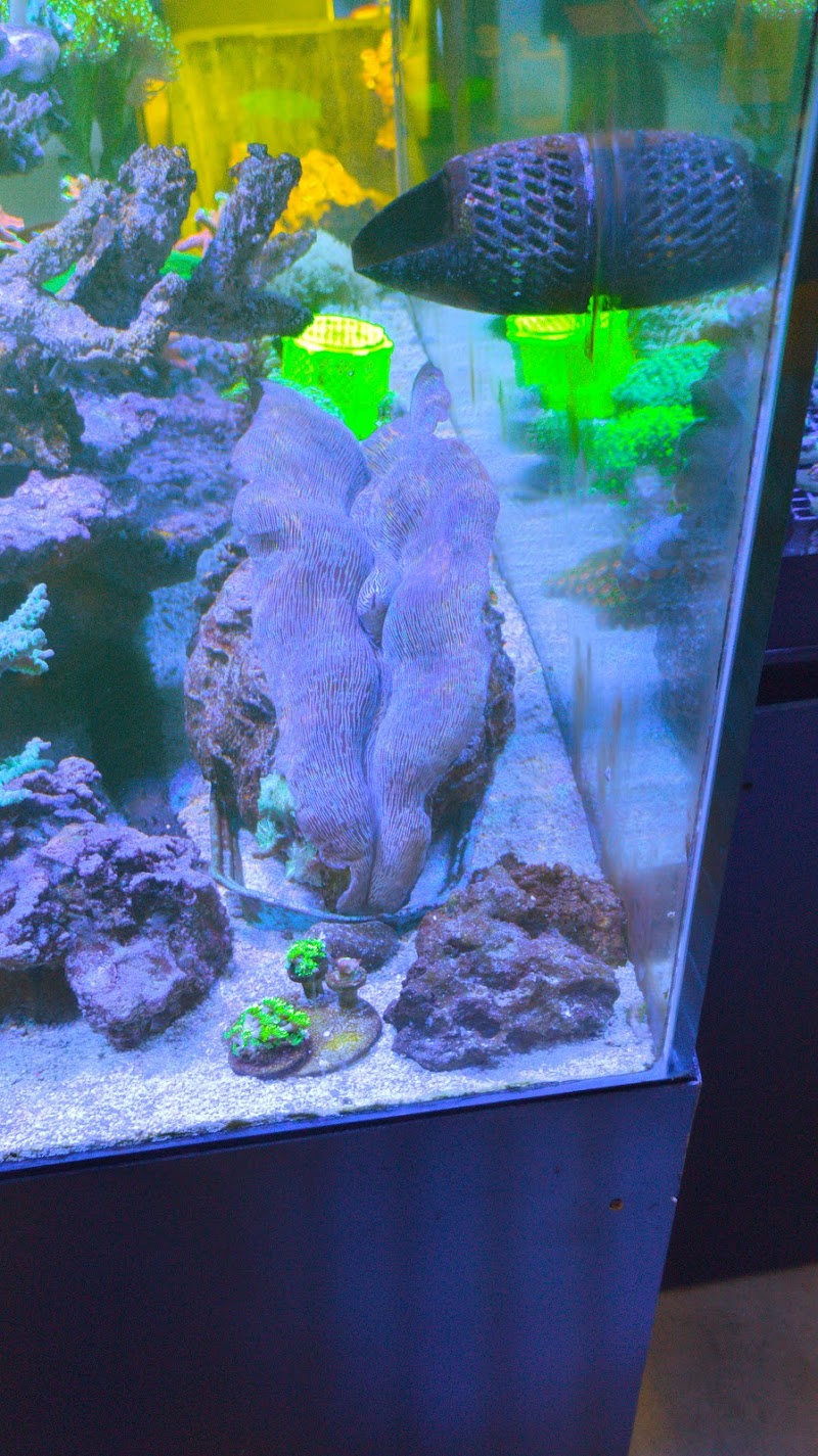 Love The Reef - Photo 4