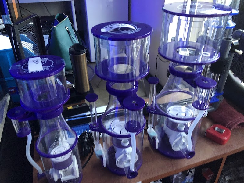 Love The Reef - Photo 5