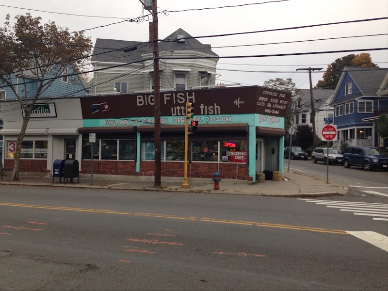 Big Fish Little Fish Pet Store - Photo 1