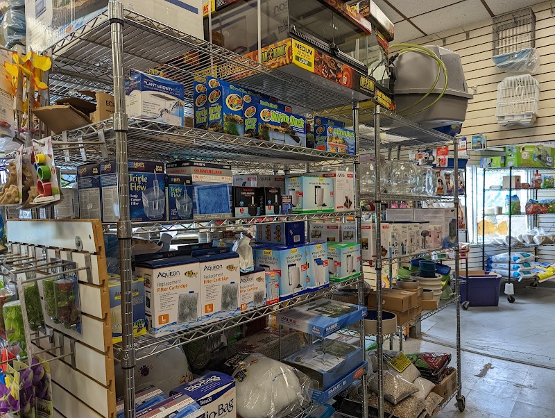 Big Fish Little Fish Pet Store - Photo 2