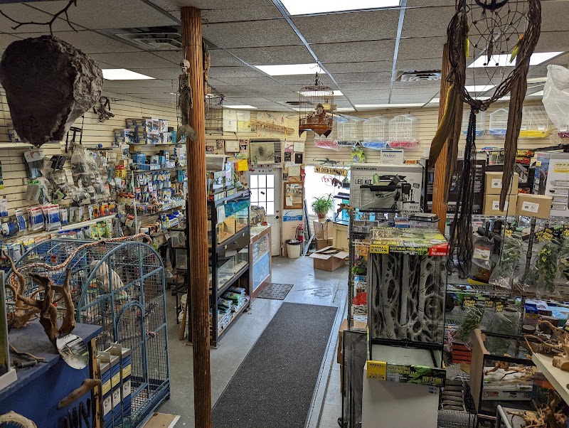 Big Fish Little Fish Pet Store - Photo 5