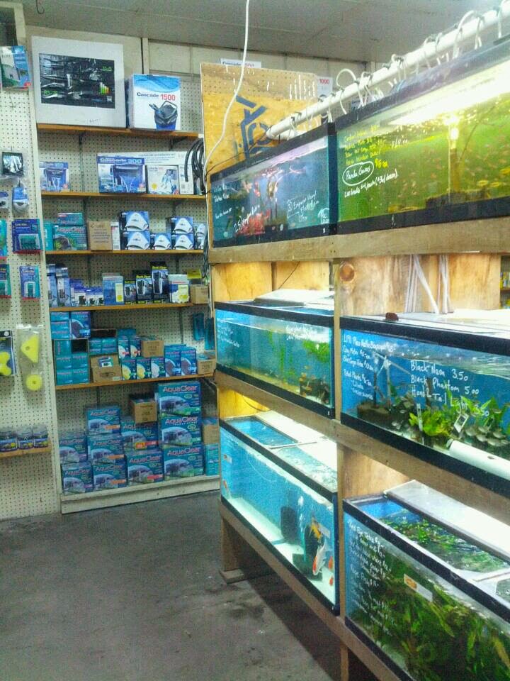 Uncle Ned's Fish Factory - Photo 2