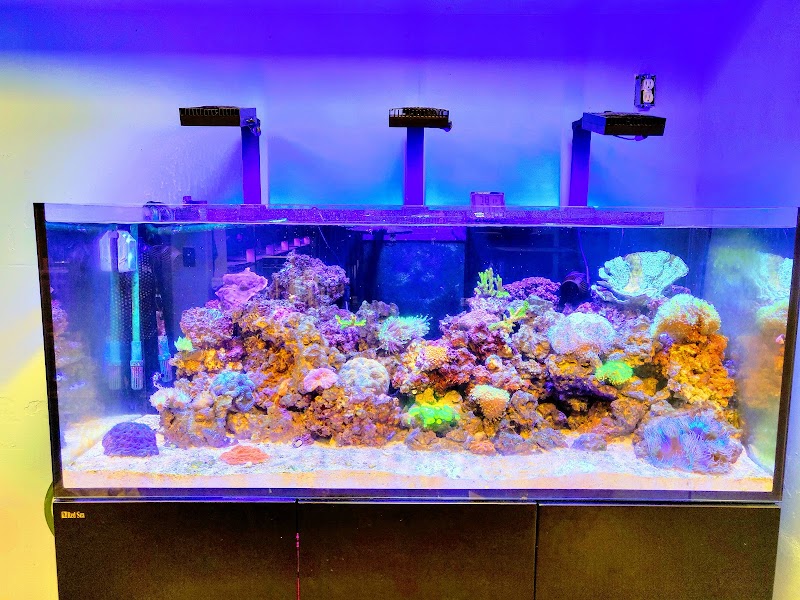 Tropic Isle Aquarium - Photo 2