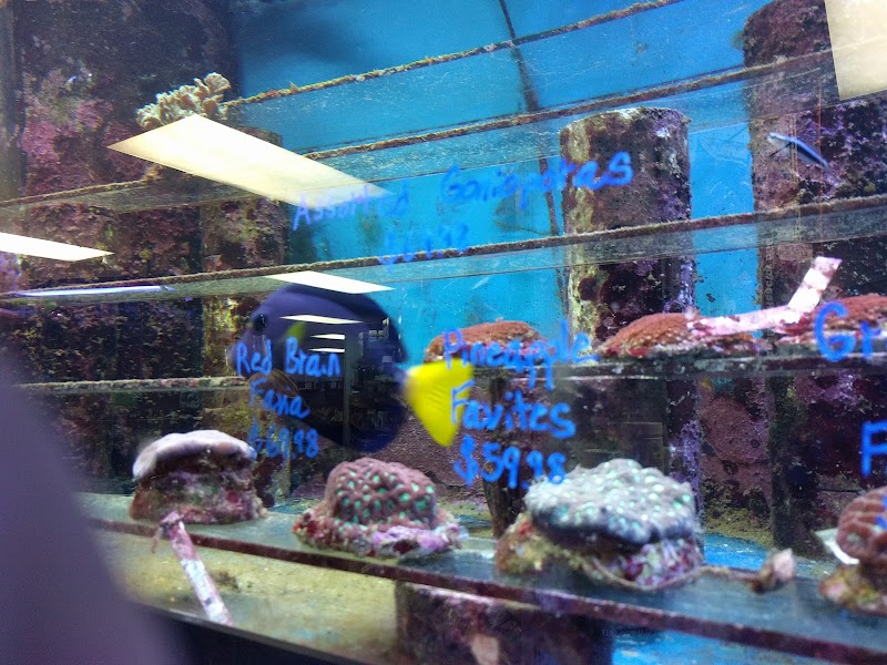 Tropic Isle Aquarium - Photo 3
