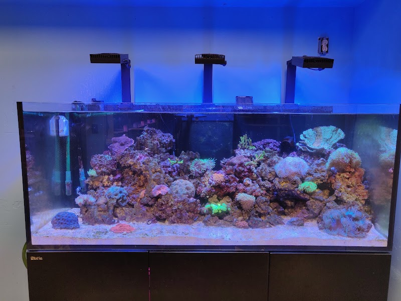 Tropic Isle Aquarium - Photo 5