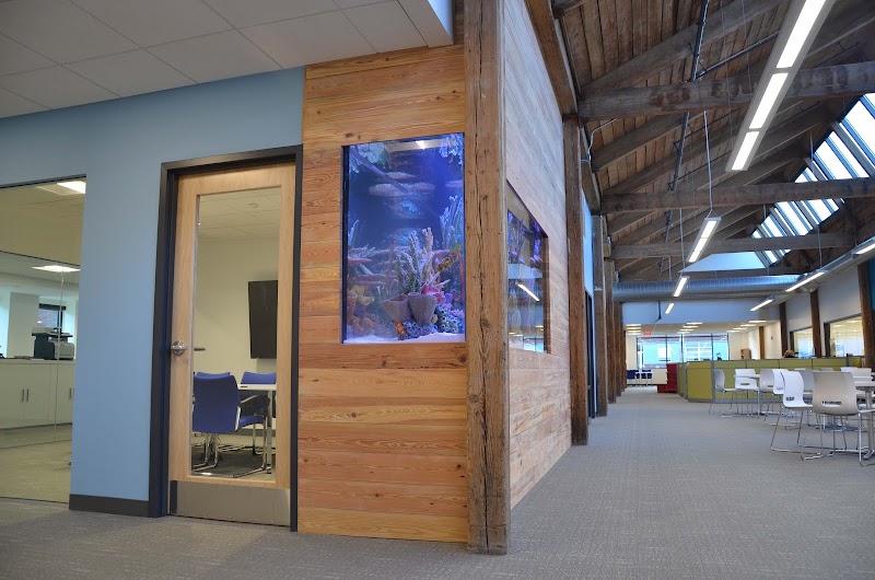 Boston Aquariums - Photo 1