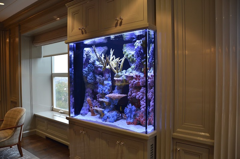 Boston Aquariums - Photo 3