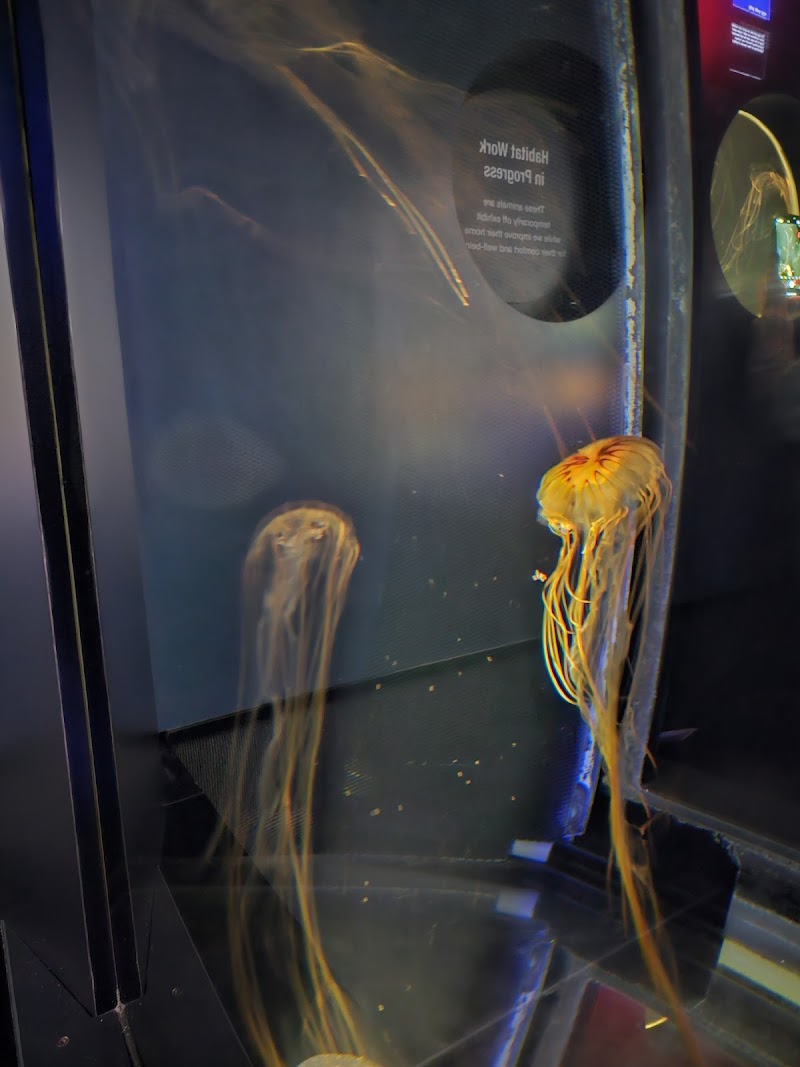 Boston Aquariums - Photo 5