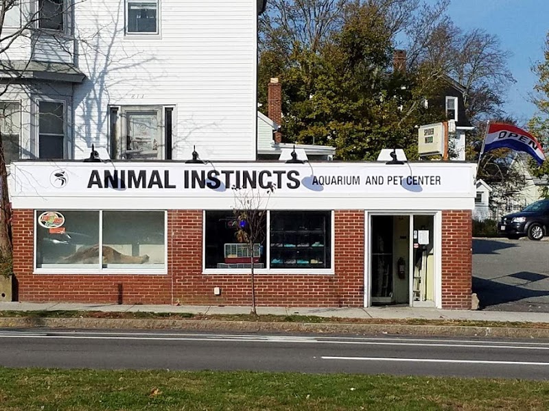 Animal Instincts Aquarium and Pet Center - Photo 1