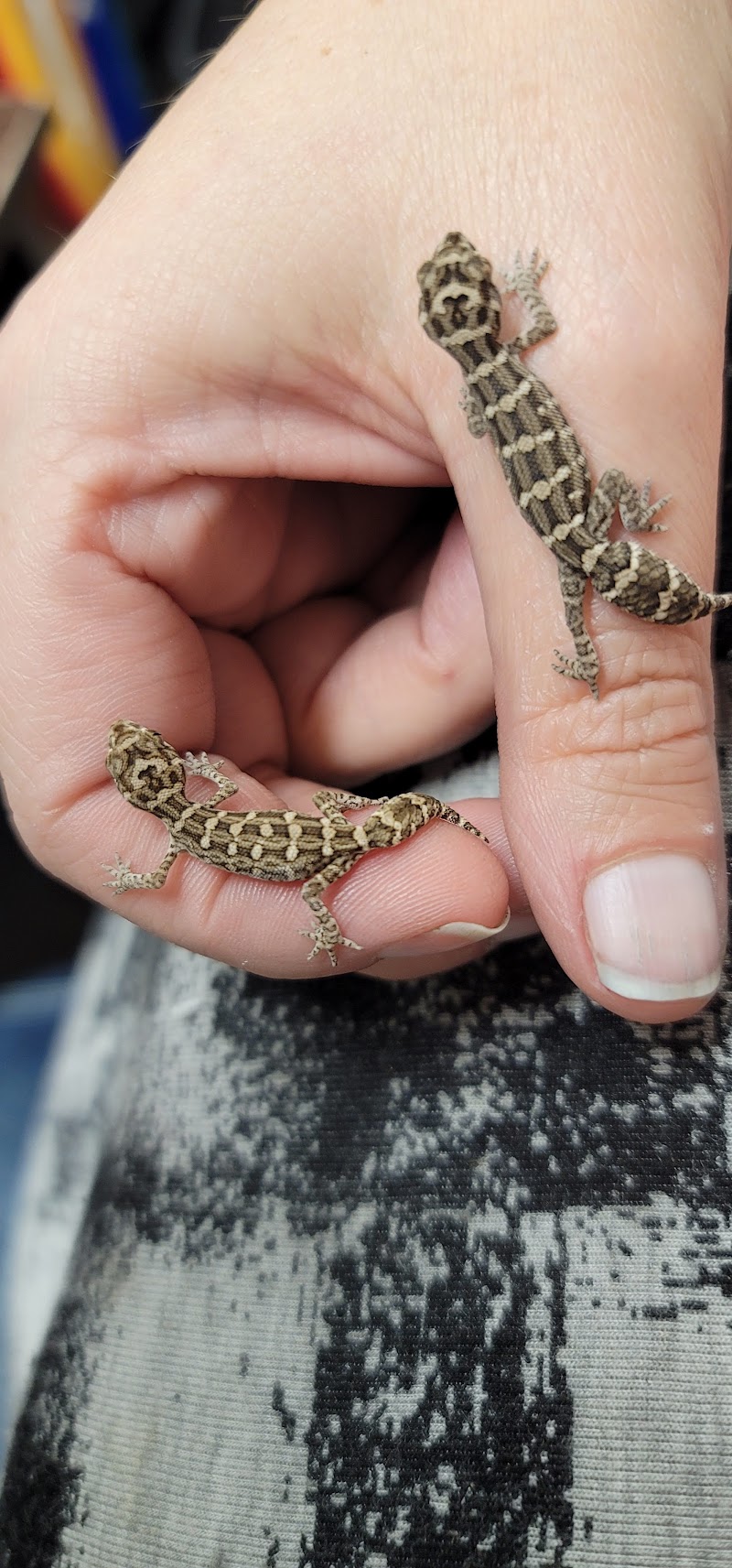 Animal Instincts Aquarium and Pet Center - Photo 5