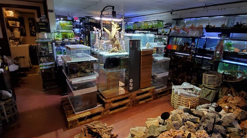 Aquastetics - Photo 2