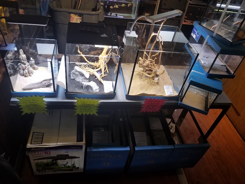 Aquastetics - Photo 3