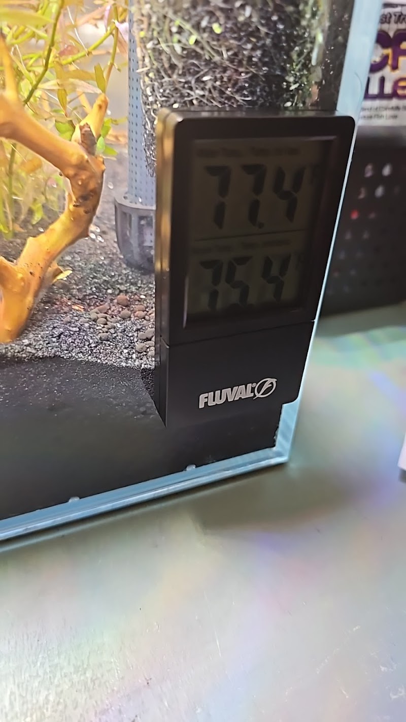 Ken's Fish & Pet Supplies - Photo 5