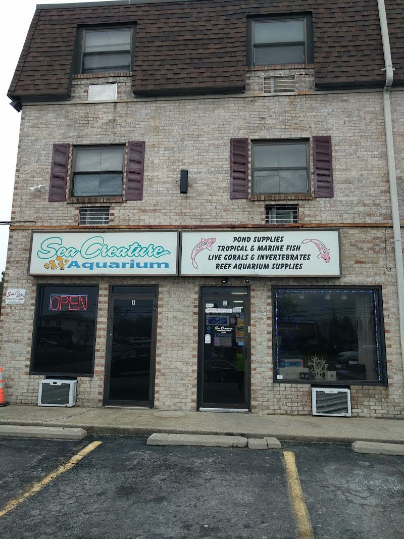 Sea Creature Aquarium - Photo 1