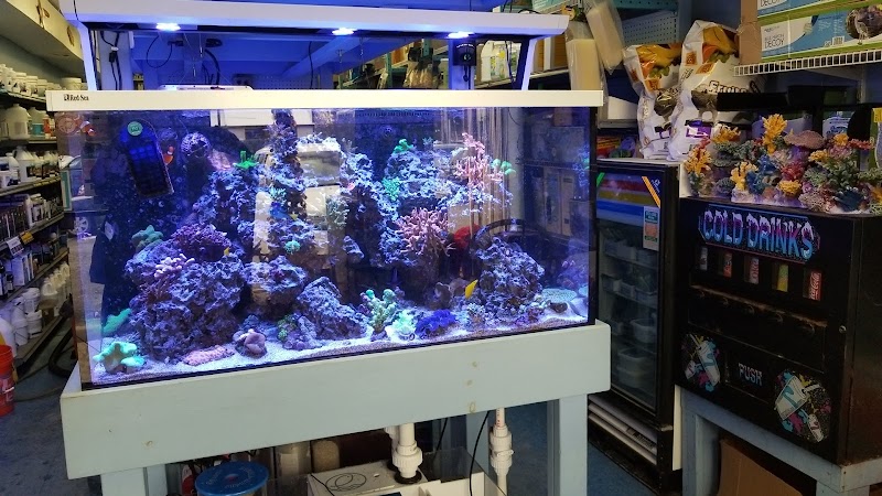 Sea Creature Aquarium - Photo 2