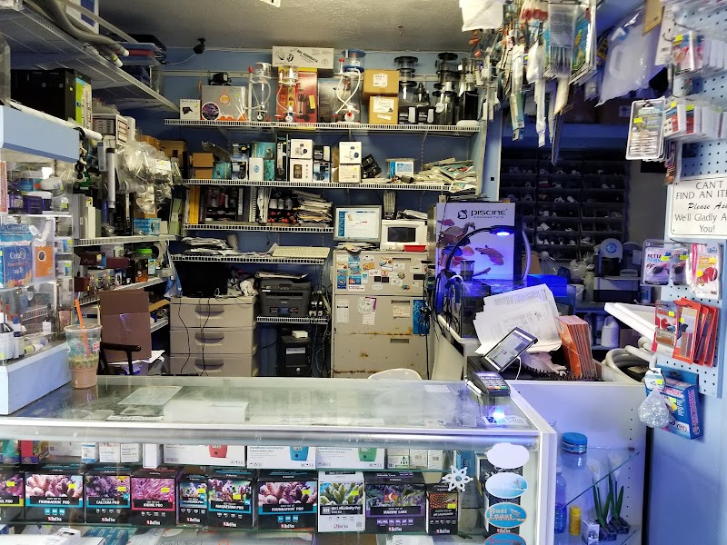 Sea Creature Aquarium - Photo 3