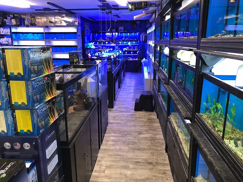 Aqua Dreams - Photo 3