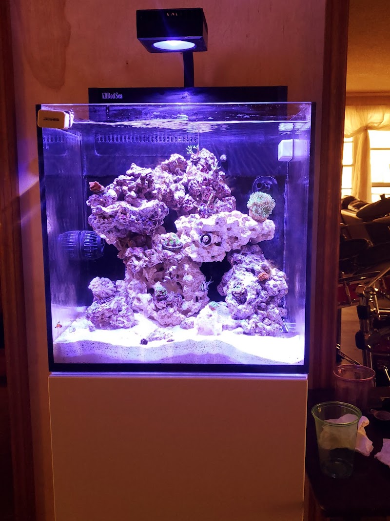 Aqua Dreams - Photo 5