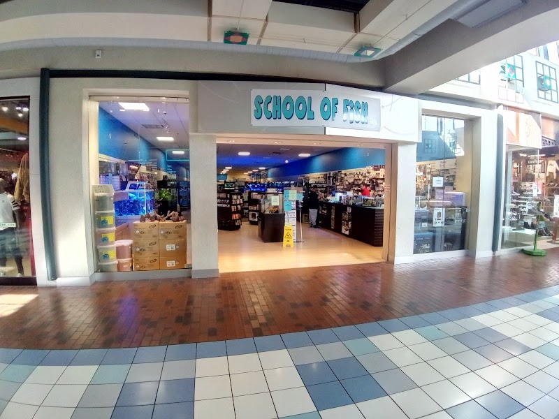 School Of Fish - Photo 1