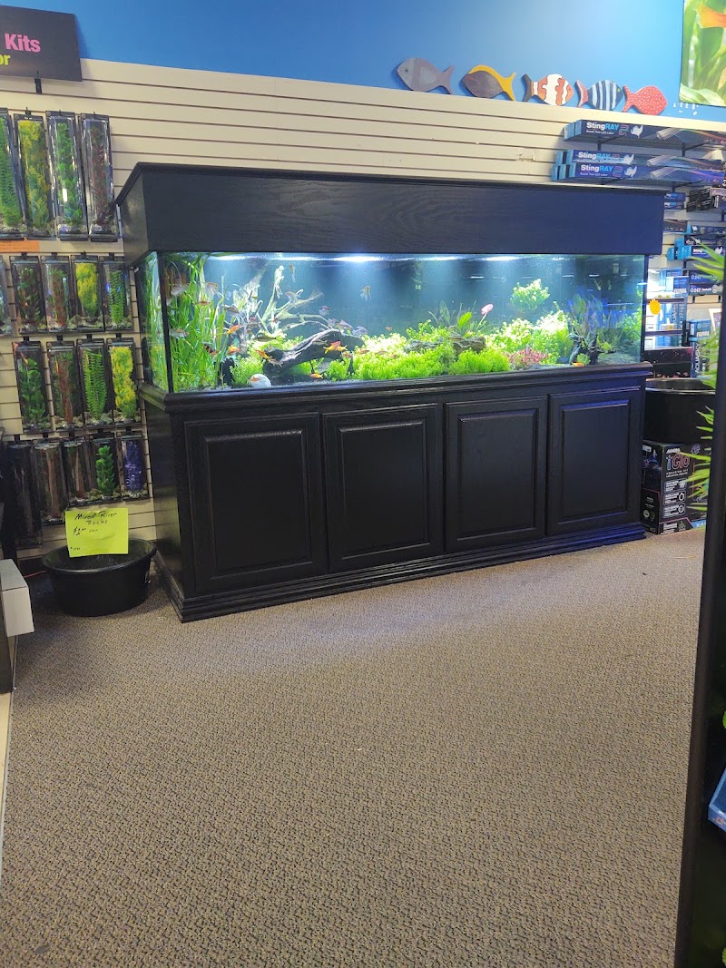 School Of Fish - Photo 3