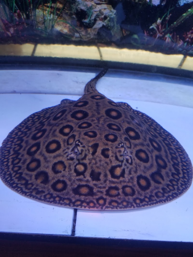 Luckys Aquarium - Photo 1