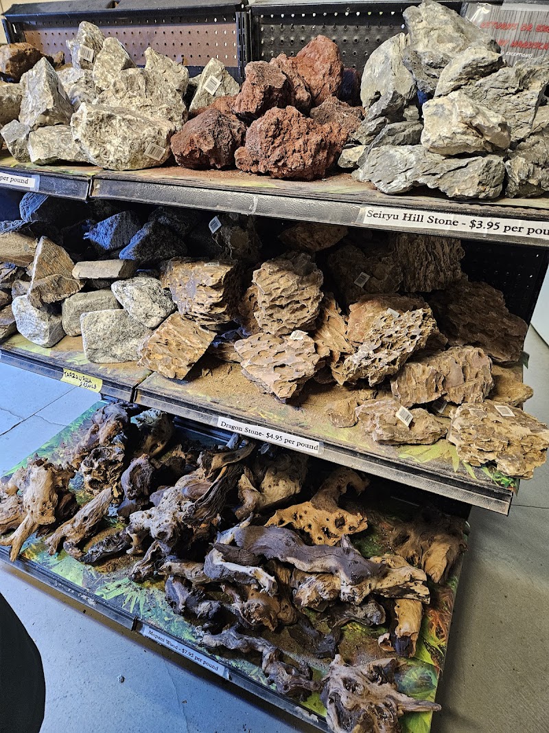 Luckys Aquarium - Photo 2