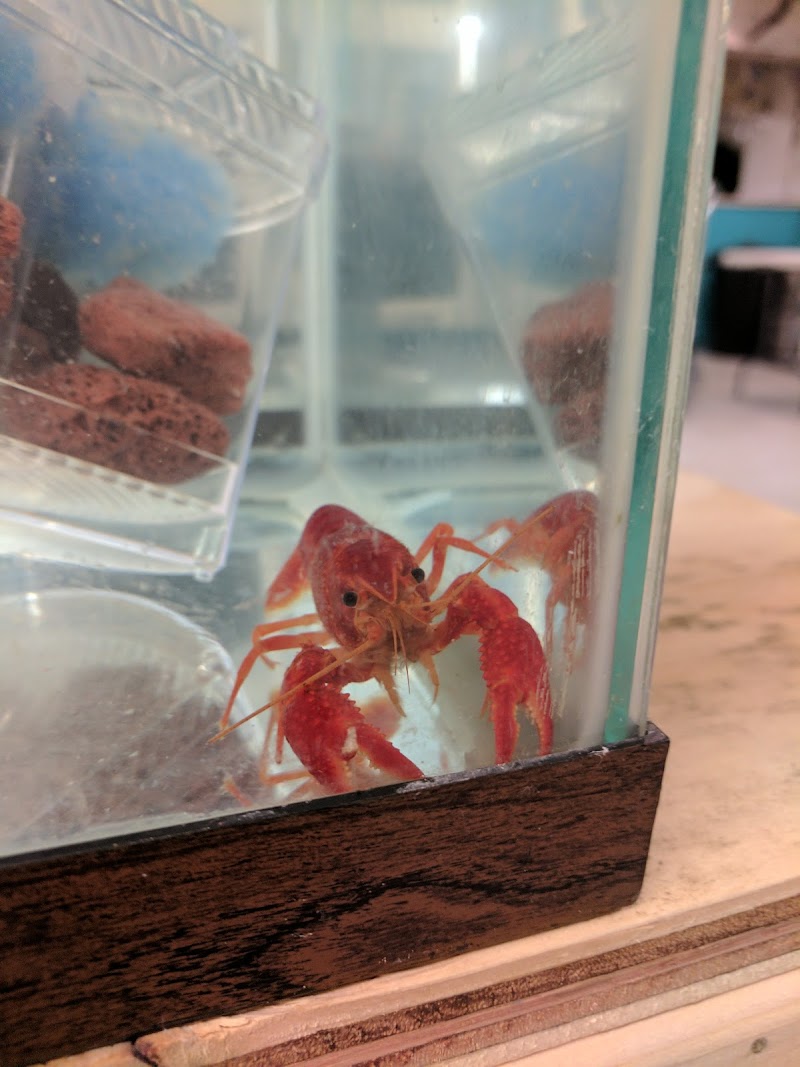 Luckys Aquarium - Photo 3