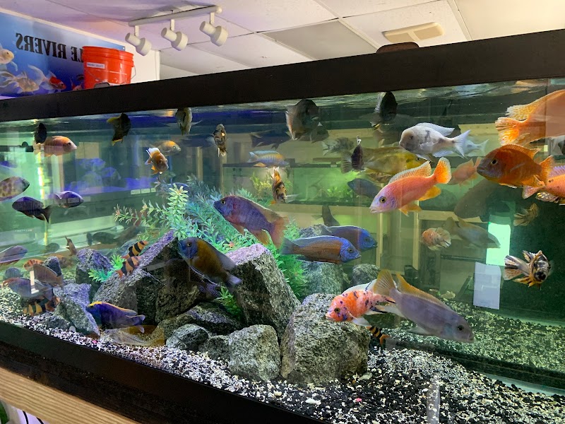 Little Rivers Aquatics - Photo 1