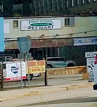 Fish Bowl Aquarium and Pet Mart - Photo 1