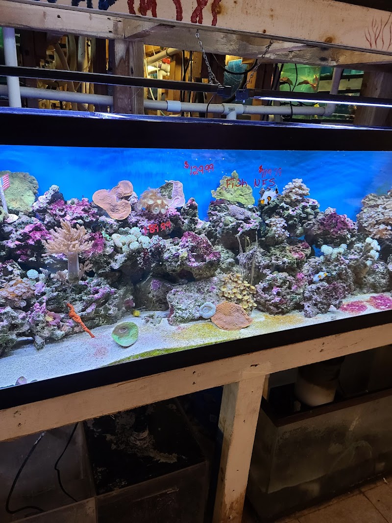 Fish Bowl Aquarium and Pet Mart - Photo 2