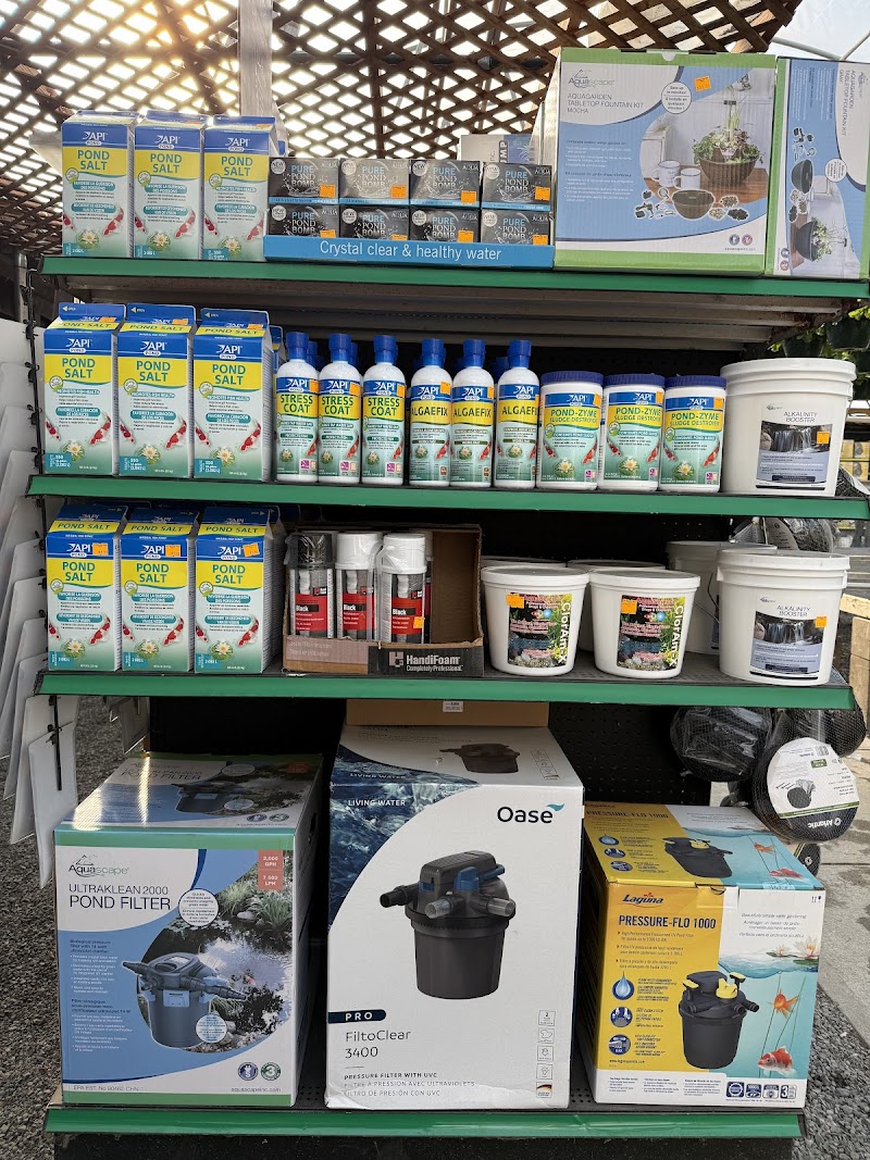 The Bloomin' Barn - Photo 2