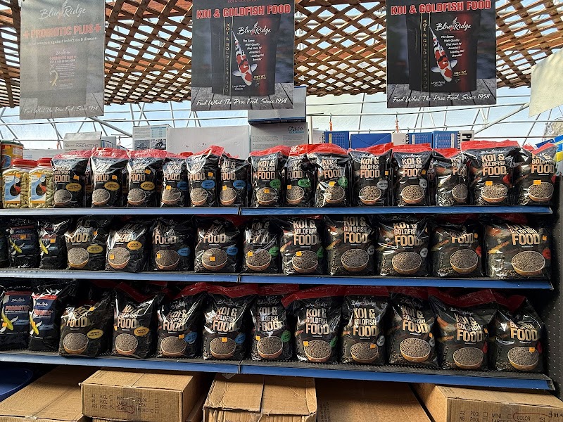 The Bloomin' Barn - Photo 5