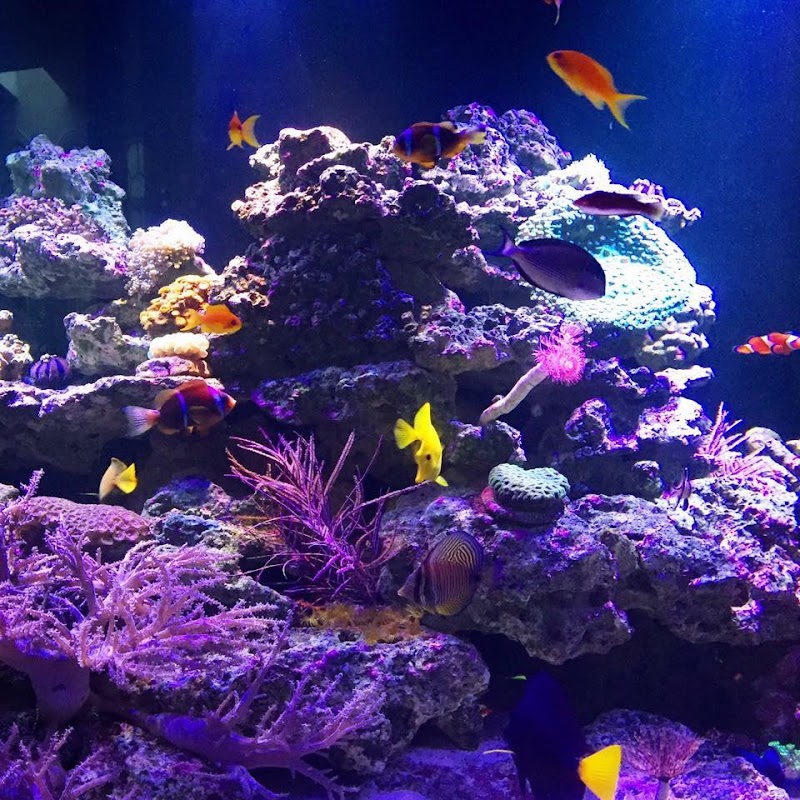 Fish Works - Photo 1