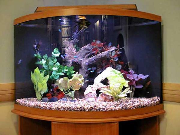 Fish Works - Photo 2