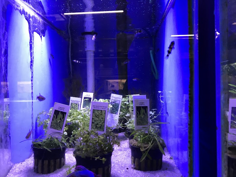 Fish Nook Pet Center - Photo 3