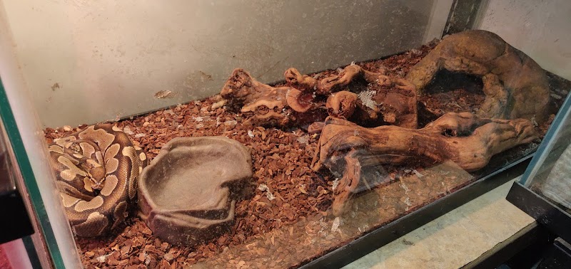 Fish Nook Pet Center - Photo 5