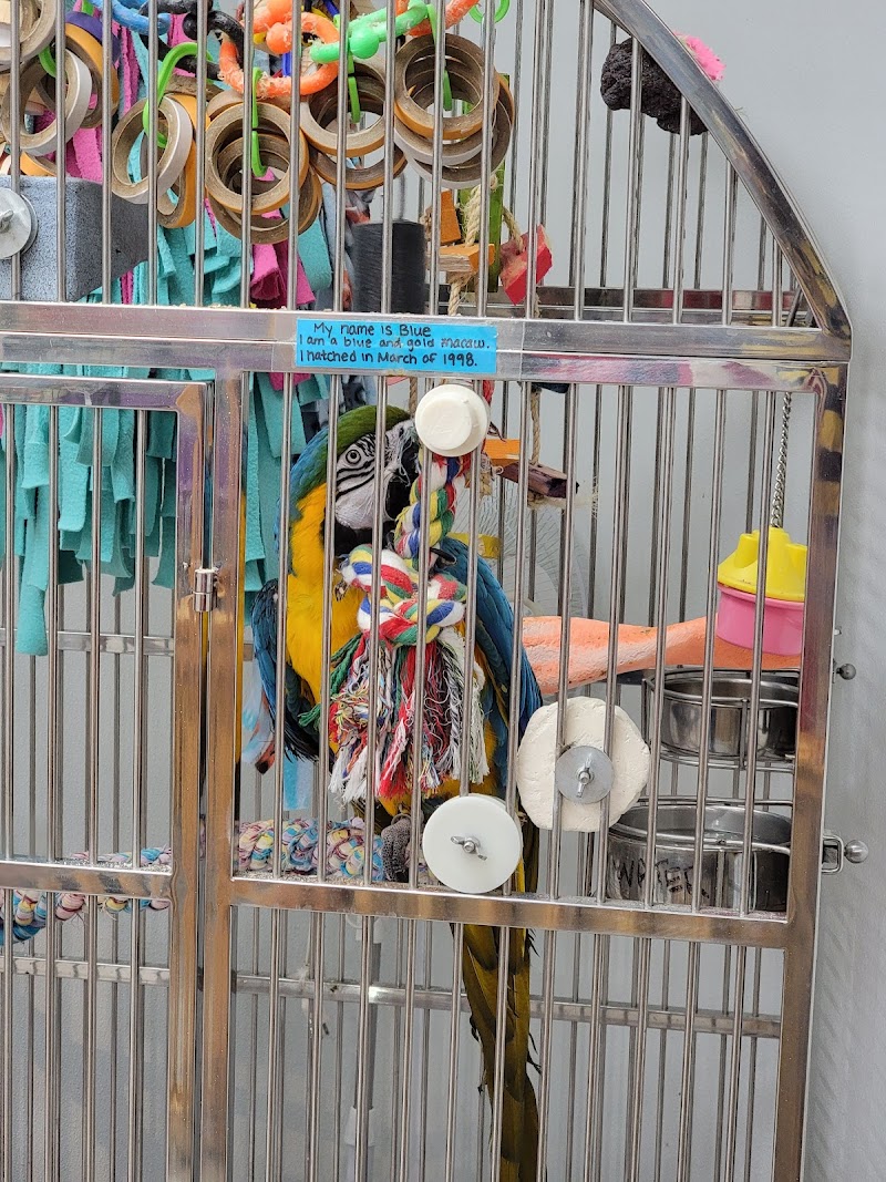 Pet World - Photo 3