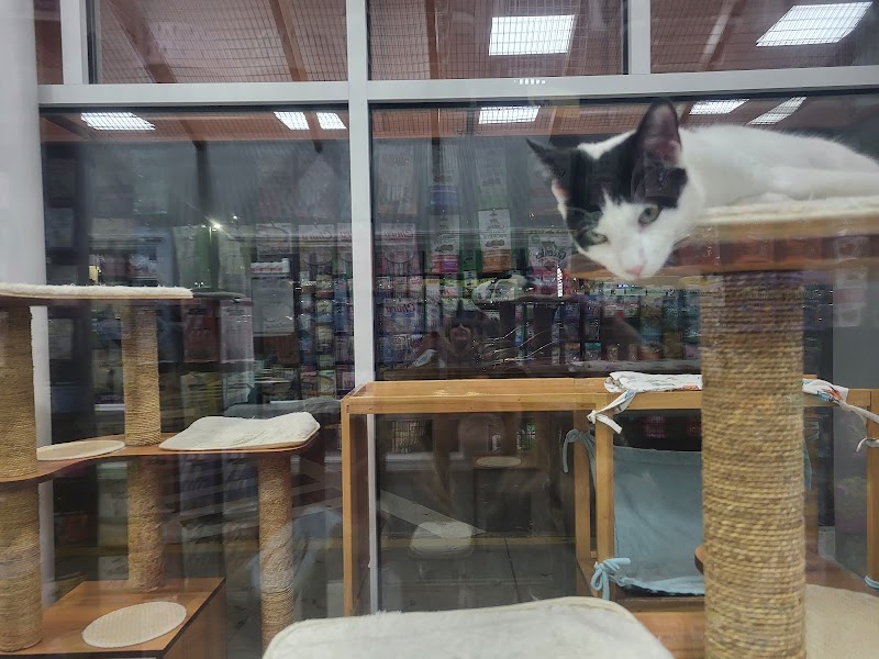 Pet World - Photo 4