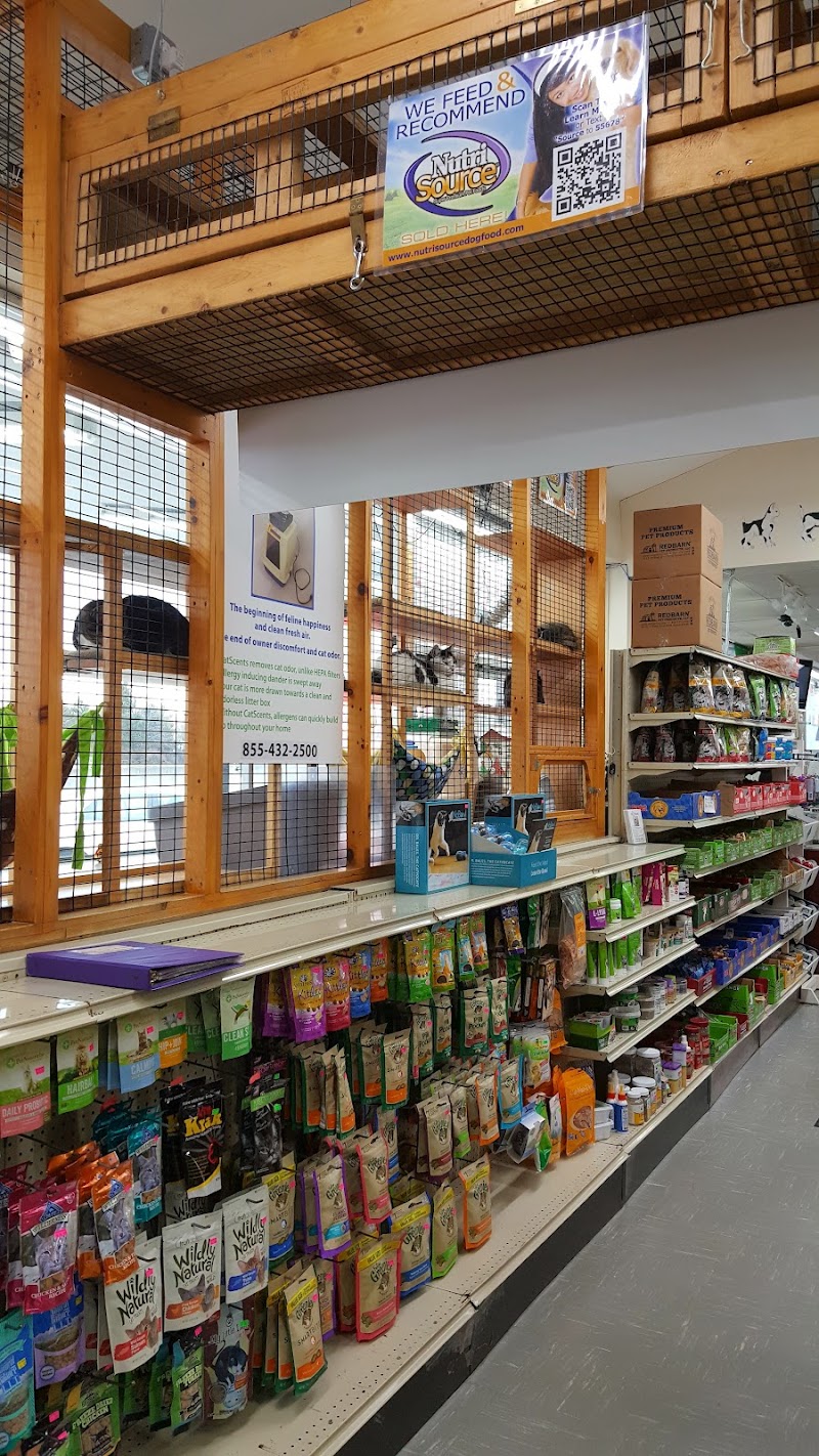 Pet World - Photo 5