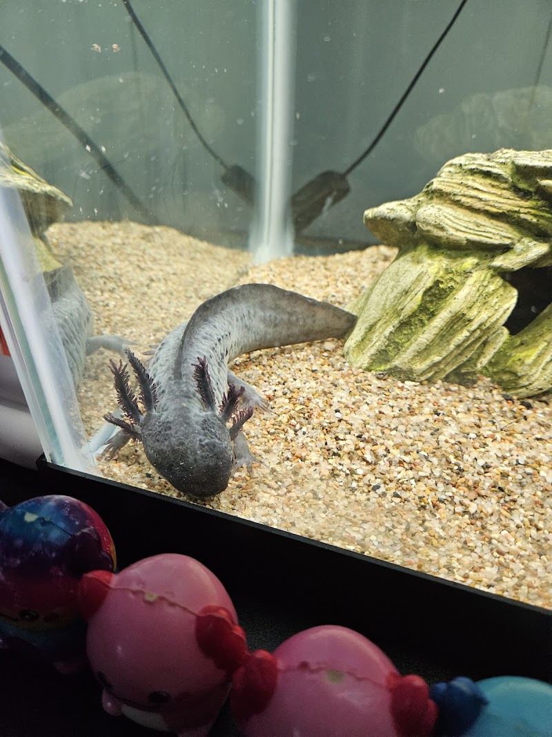 Jay's Aquatics - Photo 4