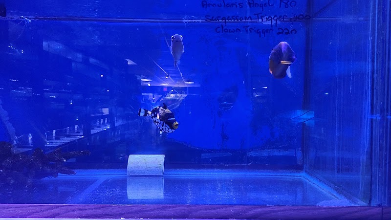Jay's Aquatics - Photo 5