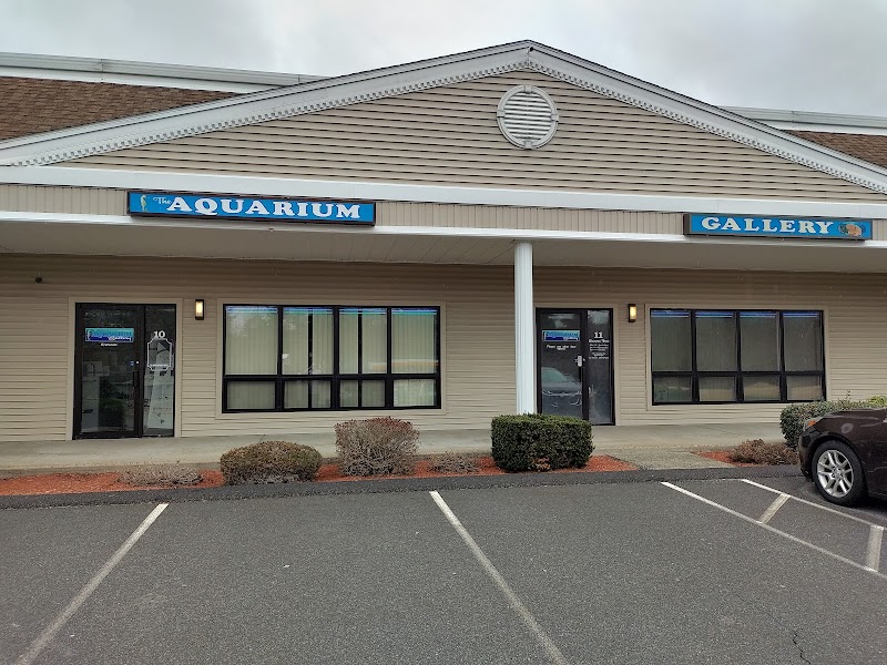 The Aquarium Gallery - Photo 1