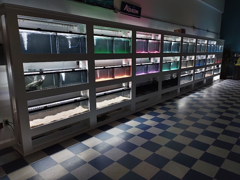 The Aquarium Gallery - Photo 3