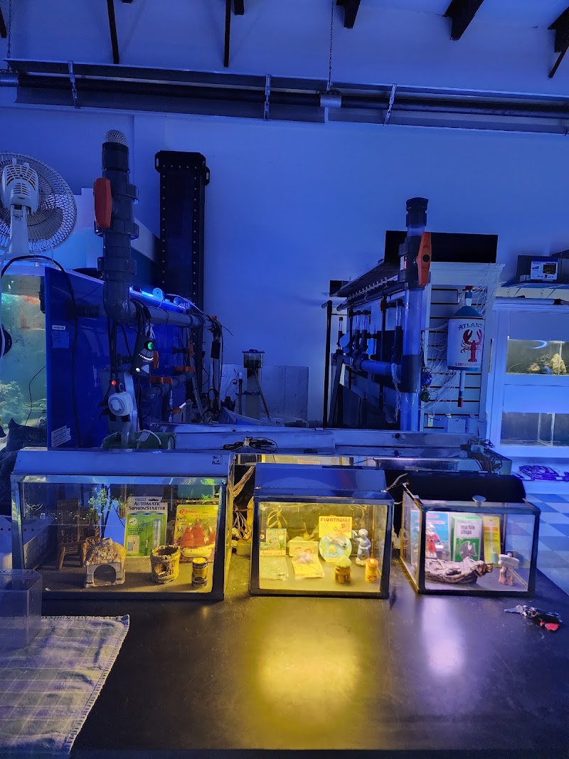 The Aquarium Gallery - Photo 4