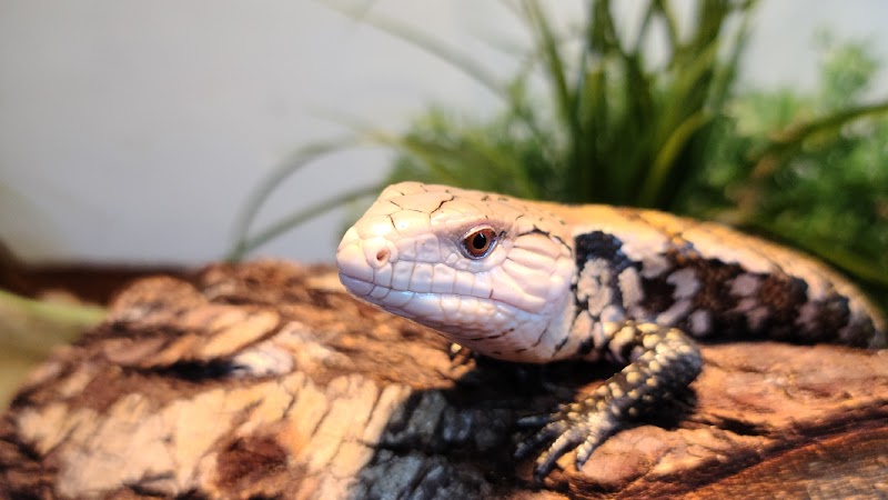 Fish Mike Aquatics - Photo 2