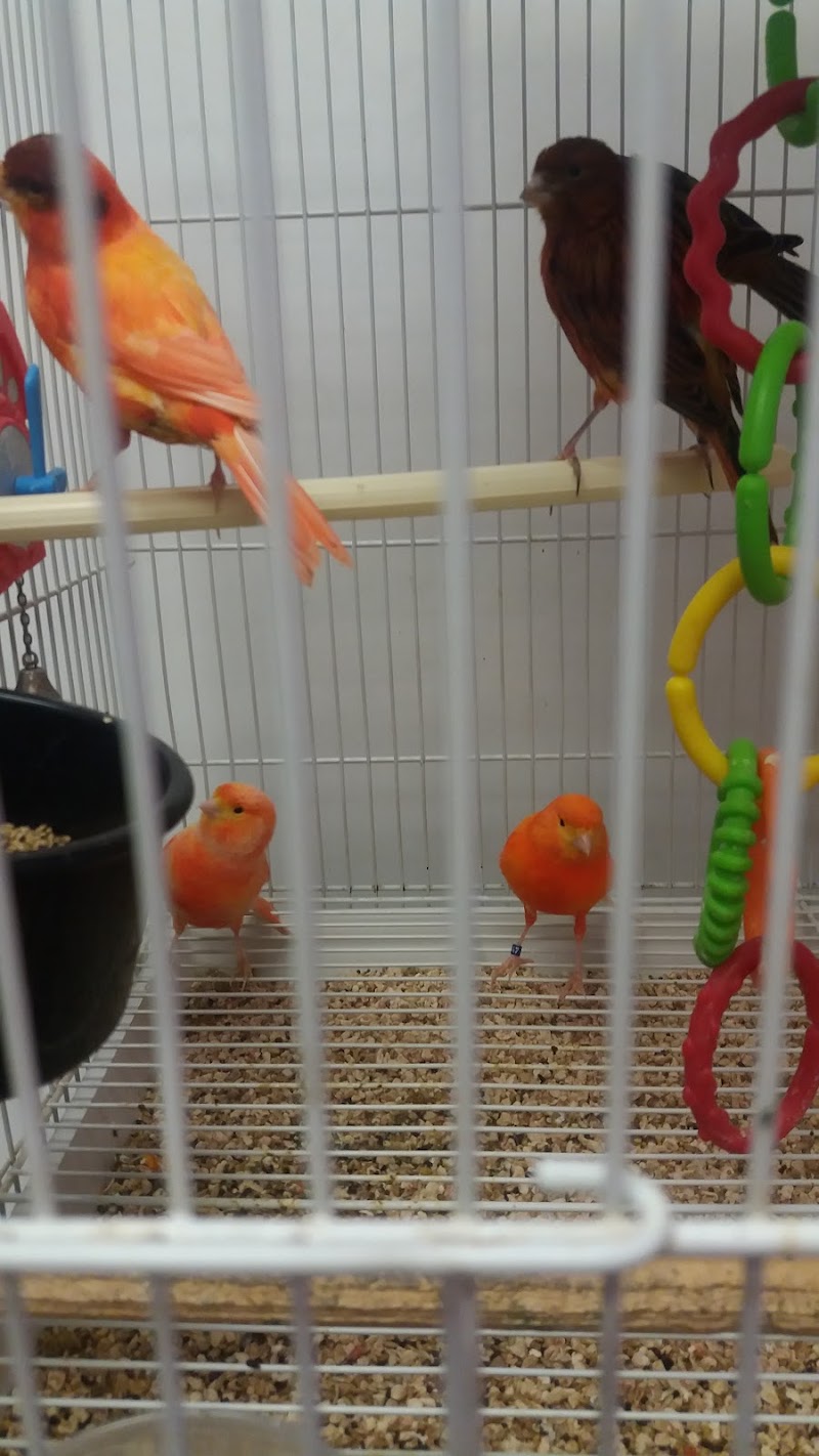 North East Discount Pet Center - Photo 3