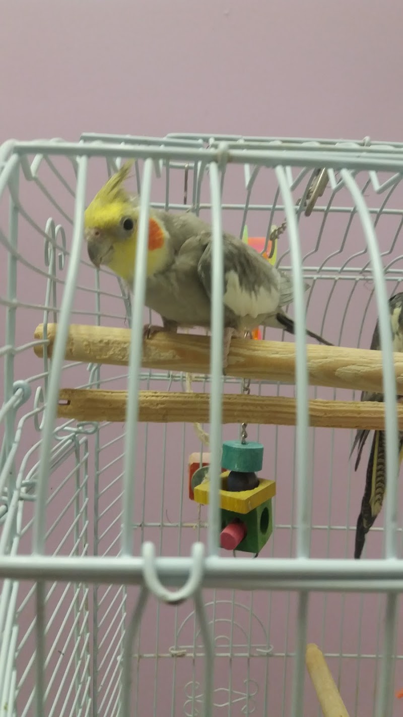 North East Discount Pet Center - Photo 4