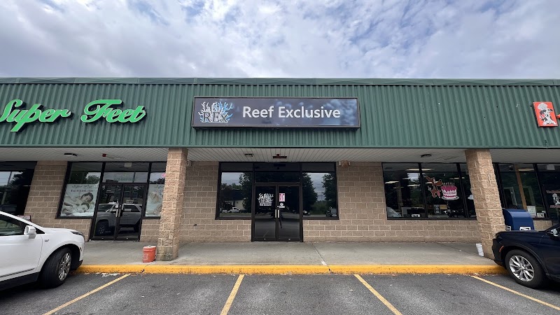 Reef Exclusive - Photo 1