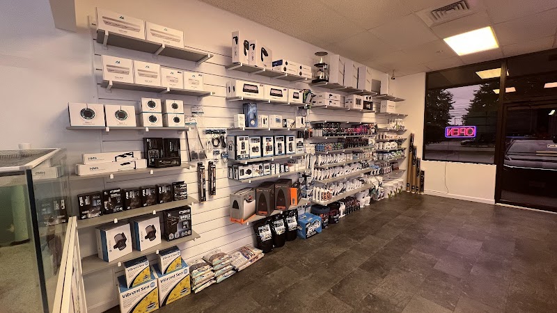 Reef Exclusive - Photo 2